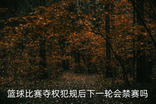 奪權犯規，籃球比賽奪權犯規后下一輪會禁賽嗎