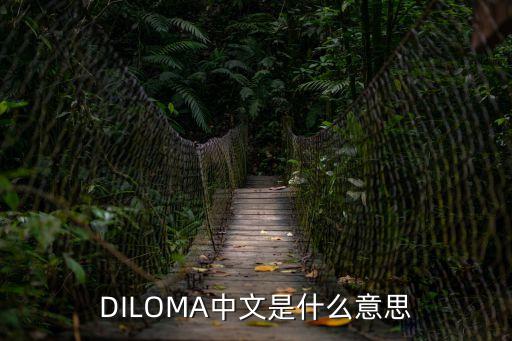 DILOMA中文是什么意思