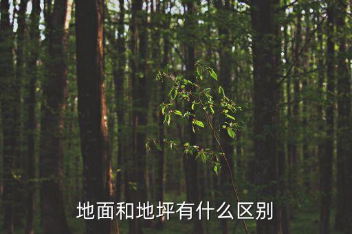 地面和地坪有什么區別