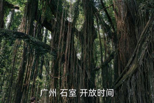 廣州全石教堂簡介，廣州市白云區人和鎮石丁前路1109號