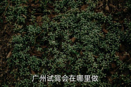 廣州試駕會在哪里做