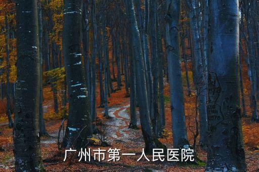 廣州市第一人民醫院