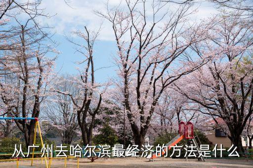 從廣州去哈爾濱最經(jīng)濟(jì)的方法是什么