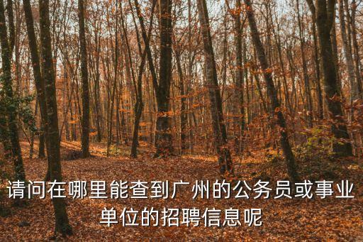 廣州事業單位招聘去什么網站，事業單位招聘一般都在哪個網站招聘