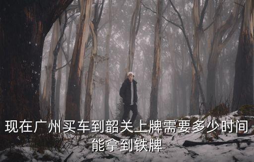 廣州新車上牌多久收到鐵牌，現(xiàn)在廣州買車到韶關(guān)上牌需要多少時間能拿到鐵牌