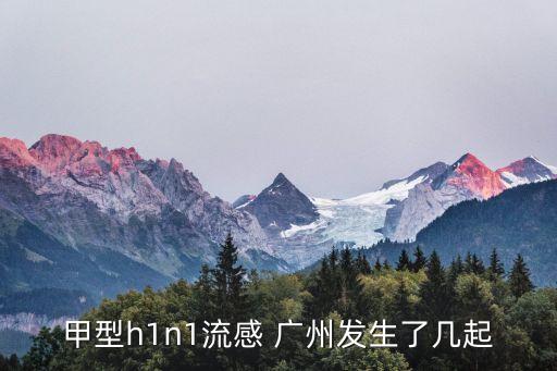 甲型h1n1流感 廣州發生了幾起