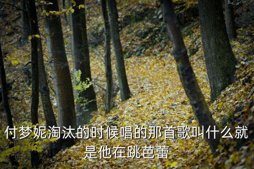 女孩與四重奏，付夢妮淘汰的時候唱的那首歌叫什么就是他在跳芭蕾