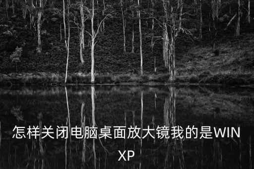 怎樣關(guān)閉電腦桌面放大鏡我的是WINXP