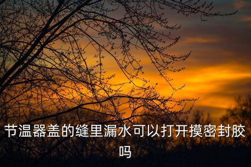 節溫器蓋的縫里漏水可以打開摸密封膠嗎