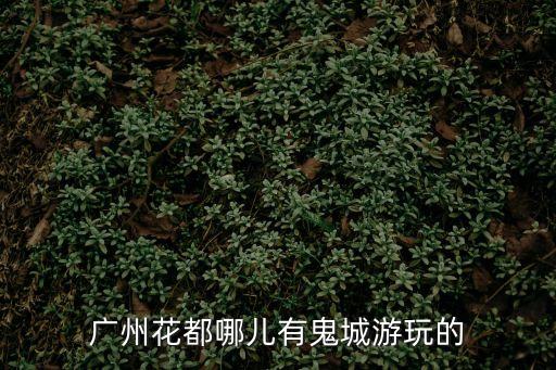 廣州花都哪兒有鬼城游玩的