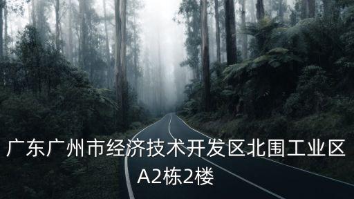 廣東廣州市經濟技術開發區北圍工業區A2棟2樓