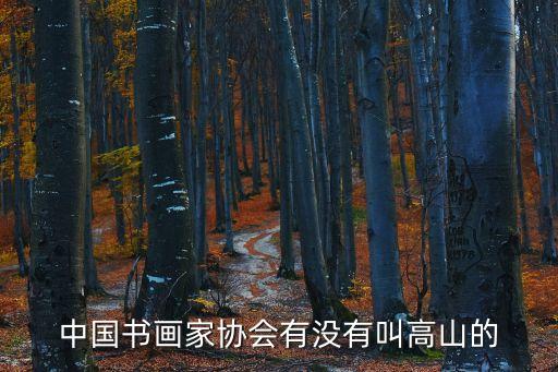 書法家高山，中國書畫家協會有沒有叫高山的