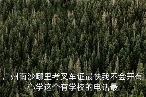 廣州南沙廣隆特種設(shè)備教練場，廣州南沙哪里考叉車證最快我不會開有心學(xué)這個有學(xué)校的電話最