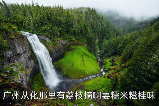 廣州從化那里有荔枝摘啊要糯米糍桂味