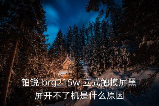 廣州鉑銳觸摸屏，鉑銳 brg215w 立式觸摸屏黑屏開不了機是什么原因