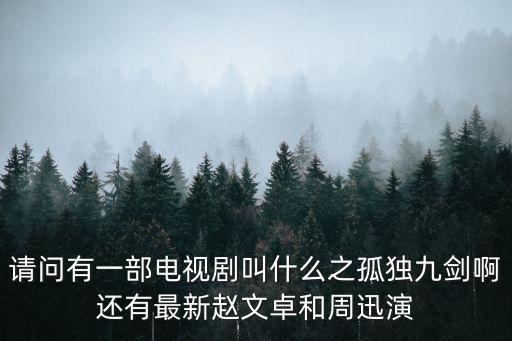 請問有一部電視劇叫什么之孤獨九劍啊還有最新趙文卓和周迅演