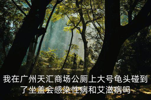 我在廣州天匯商場公廁上大號龜頭碰到了坐蓋會感染性病和艾滋病嗎