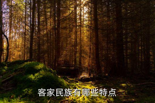 廣州梅州客家人的特點，客家民族有哪些特點
