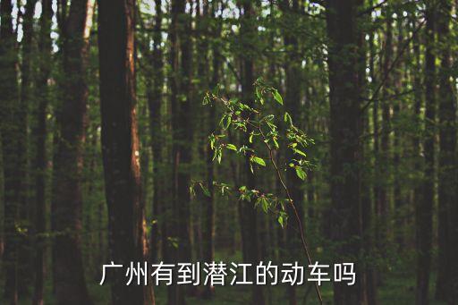潛江廣州返回，廣州有到潛江的動車嗎