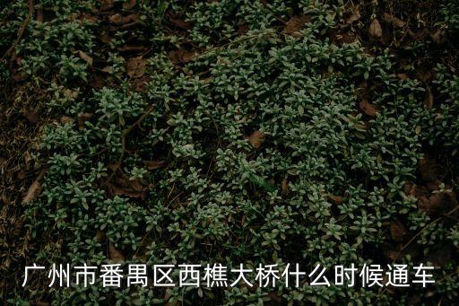 廣州在修的高架橋，廣州市番禺區西樵大橋什么時候通車
