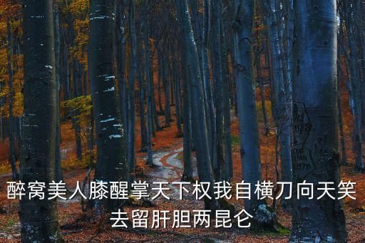 人間自有公道，醉窩美人膝醒掌天下權我自橫刀向天笑去留肝膽兩昆侖