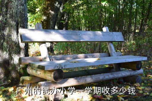 廣州金鵬小學學費，廣州民辦小學怎么收費誰能告訴我