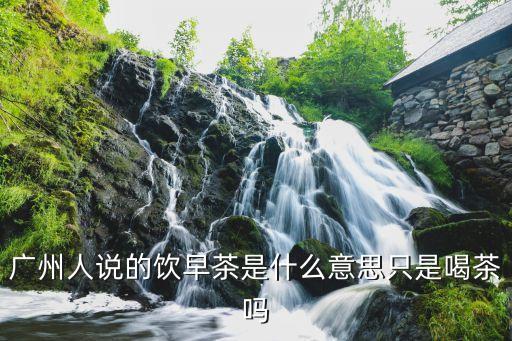 廣州人早茶3大未解之謎，廣東人愛飲早茶這是為什么 我急要quickly