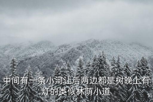 中間有一條小河讓后兩邊都是樹晚上有燈的類似林蔭小道