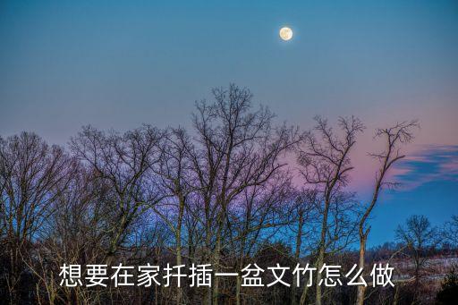 文竹怎么扦插，文竹能用扦插繁殖嗎謝謝