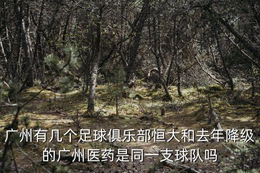 廣州的足球俱樂部有哪些，廣州有幾個足球俱樂部恒大和去年降級的廣州醫藥是同一支球隊嗎