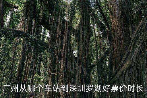 廣州從哪個車站到深圳羅湖好票價時長