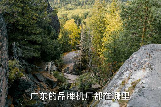 廣州的康沃機械廠在哪，廣州市機械廠在哪呀