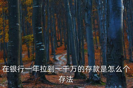 大額存款技巧，在銀行一年拉到一千萬的存款是怎么個(gè)存法