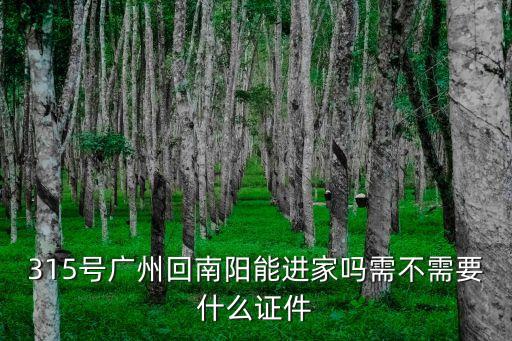315號廣州回南陽能進家嗎需不需要什么證件