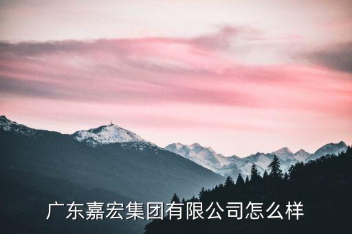 廣州市嘉宏科技有限公司，廣州有這個公司嗎