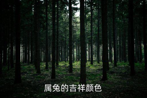 屬兔的吉祥顏色