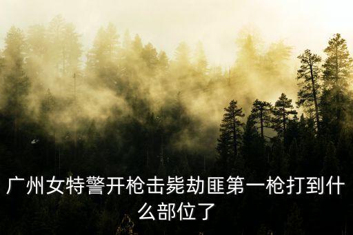廣州女特警開槍擊斃劫匪第一槍打到什么部位了