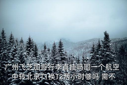 廣州白云機場t1去t2要多久，廣州到北京中轉T1換T2 2個小時時間夠嗎還有取行李出關嗎還是直接在