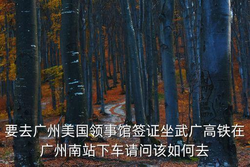 要去廣州美國領事館簽證坐武廣高鐵在廣州南站下車請問該如何去
