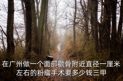 廣州粉瘤手術價格，我想做粉瘤手術我想問一下費用大約是多少