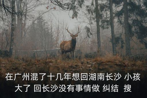 在廣州混了十幾年想回湖南長沙 小孩大了 回長沙沒有事情做 糾結  搜