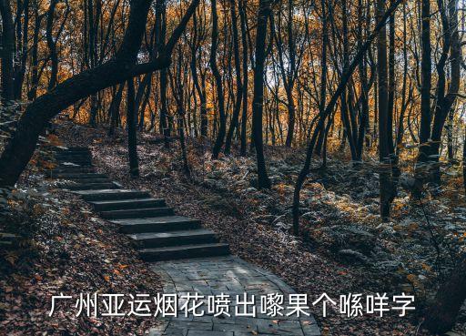 廣州煙火vlog，廣州在哪放煙花