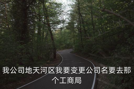 我公司地天河區我要變更公司名要去那個工商局