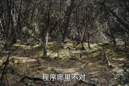 哪里不對，程序哪里不對