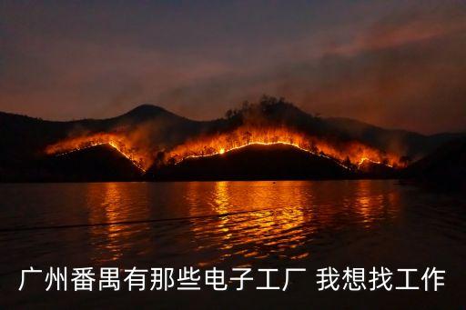 廣州番禺有那些電子工廠 我想找工作