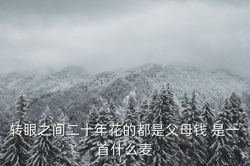 轉眼二十年，轉眼之間二十年花的都是父母錢 是一首什么麥