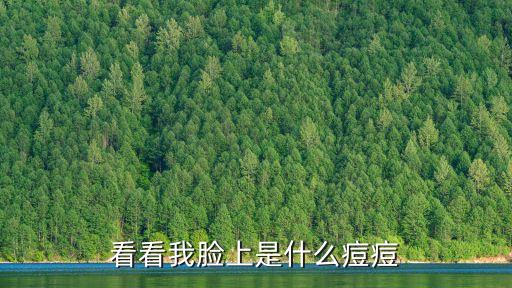 看看我臉上是什么痘痘