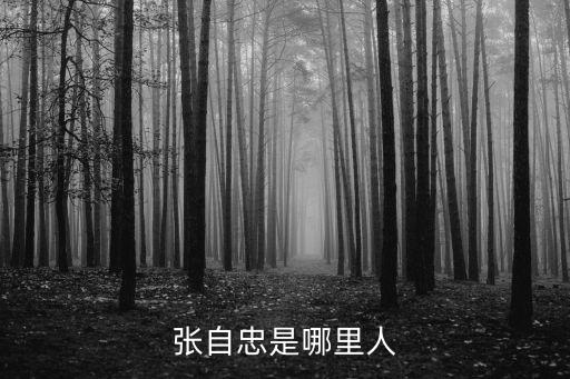 張自忠是哪里人