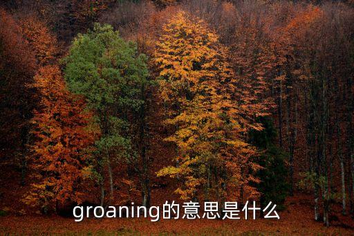 groaning，發出呻吟翻譯成英語是什么