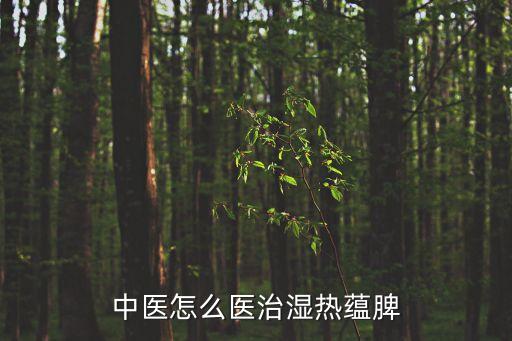 中醫(yī)怎么醫(yī)治濕熱蘊(yùn)脾